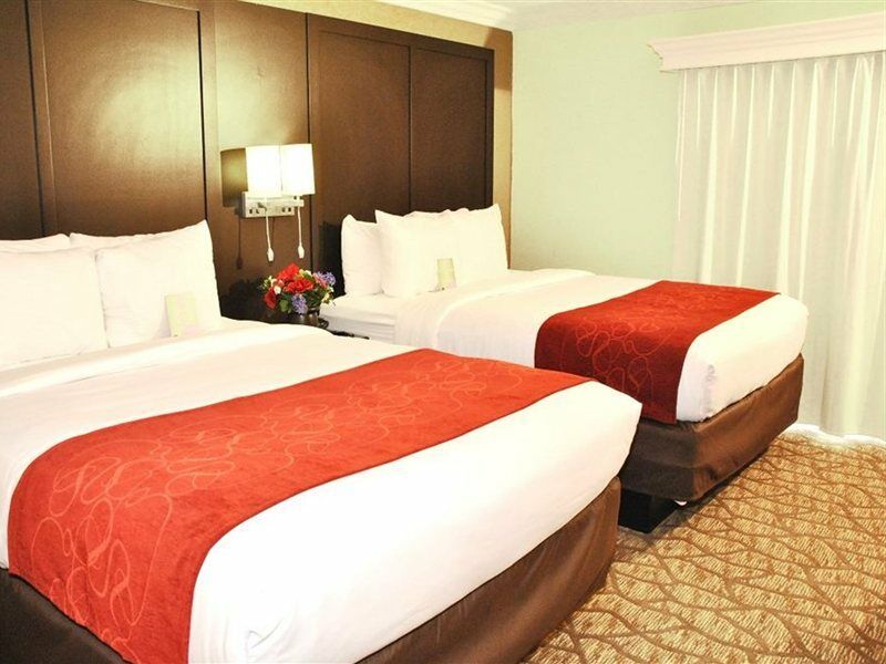 Comfort 3* San Clemente