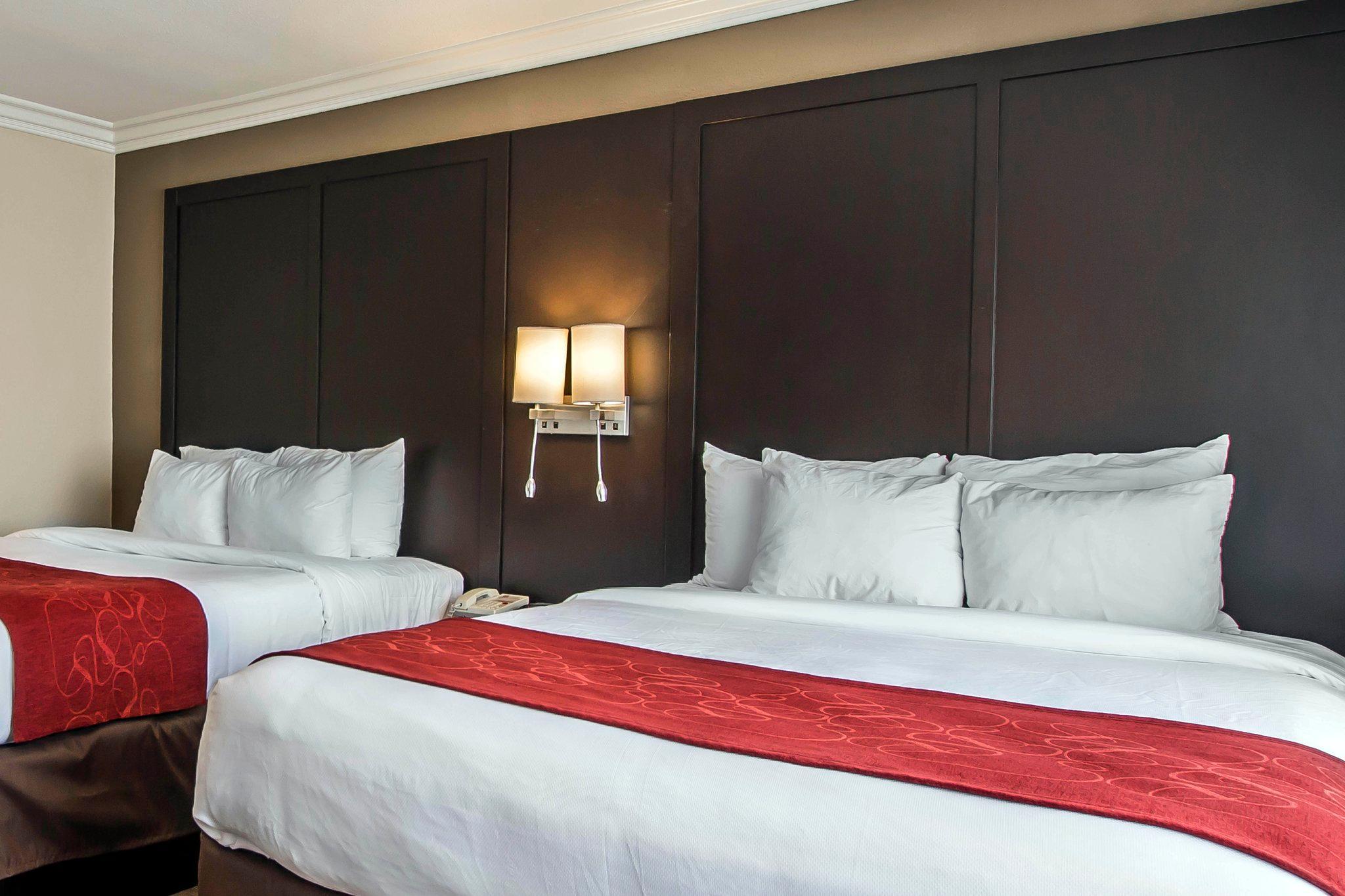 Hotel Comfort 3*